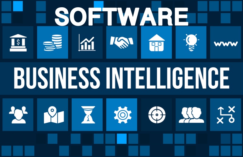 Software Business Intelligence