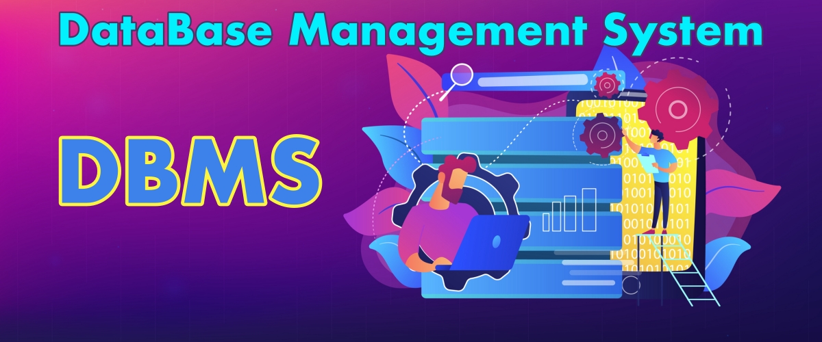 DataBase Management System - DBMS - concept grafico